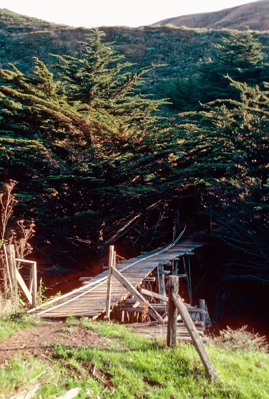 bridge, Christy Ranch, Santa Cruz Island
