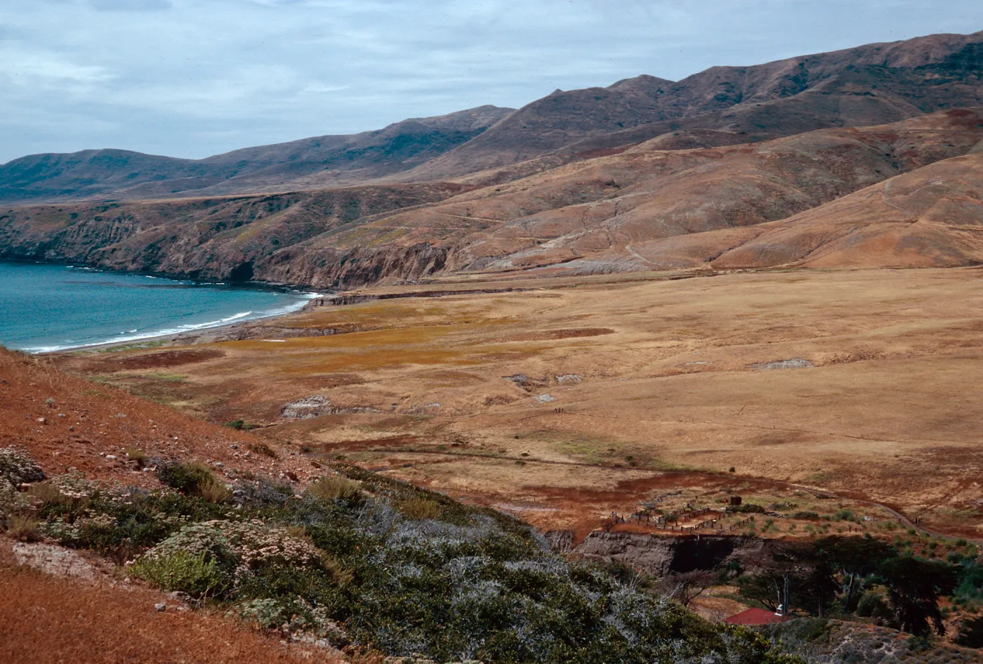 Christy Ranch area, Santa Cruz Island