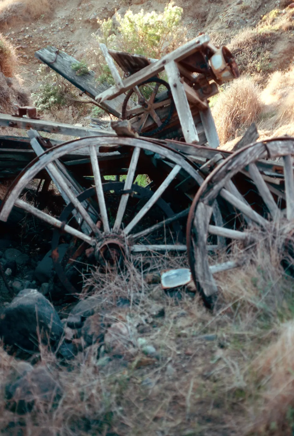 Wagon Gulch, near Christi Ranch, Santa Cruz Island