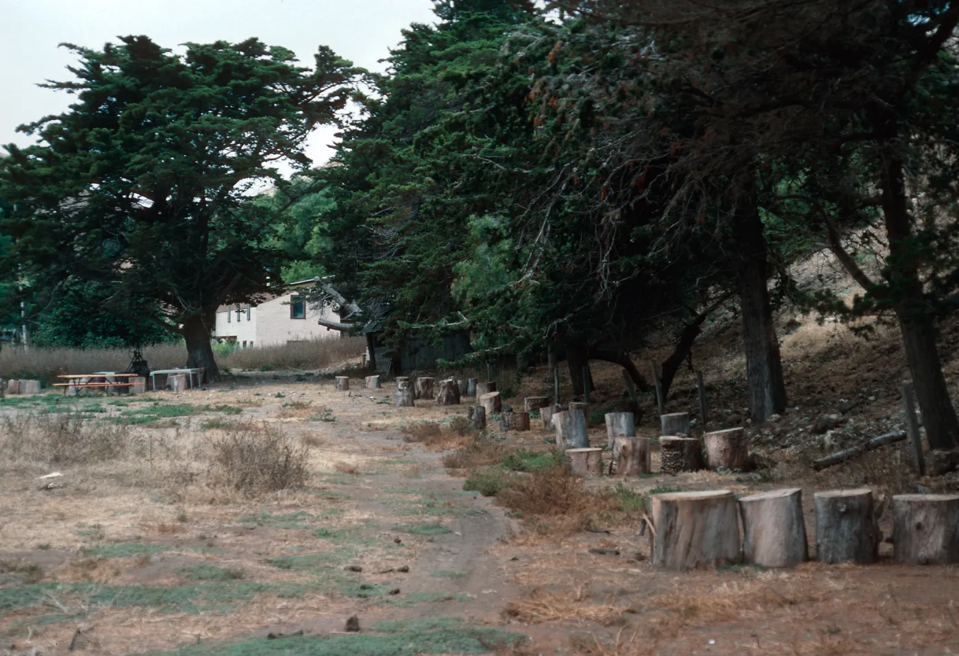 campground, Scorpion Ranch, Santa Cruz Island