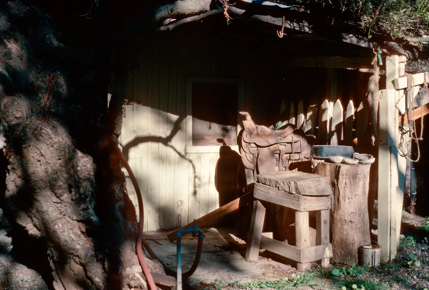 saddlery, Scorpion Ranch, Santa Cruz Island