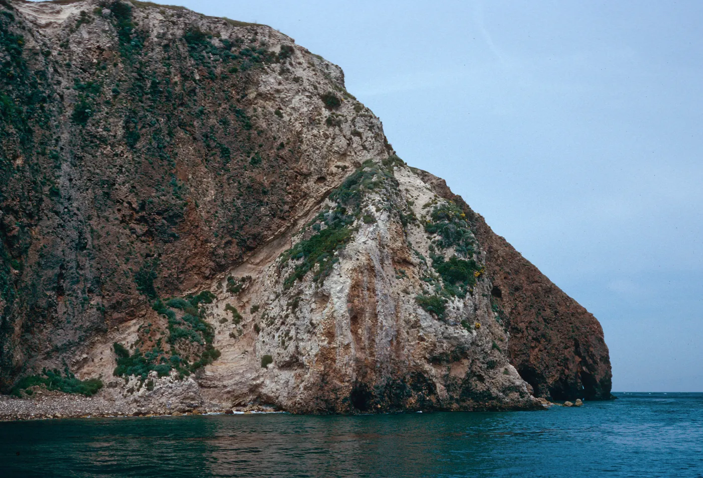 bluffs, just West of mouth of Scorpion Canyon, Santa Cruz Island