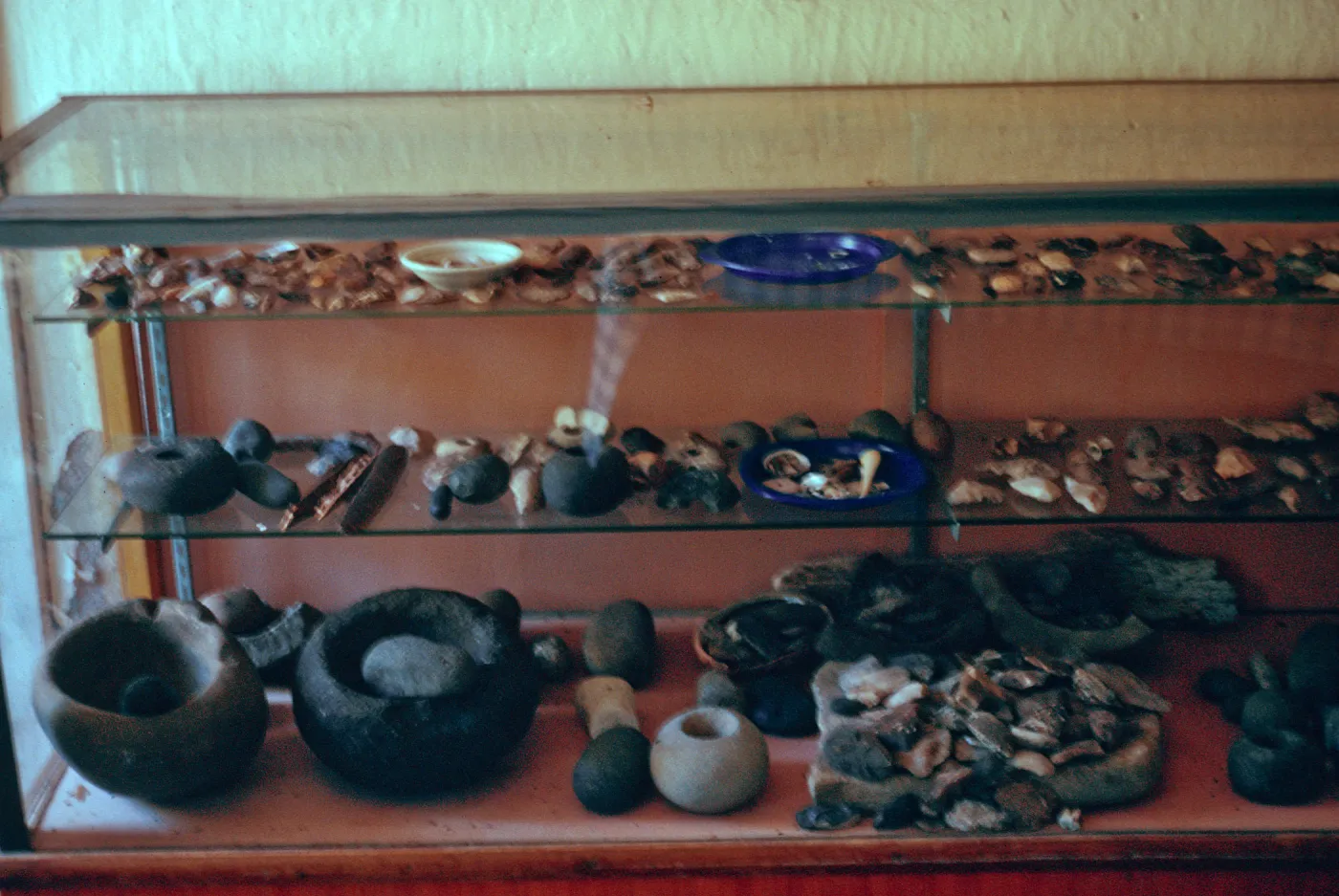 display case, dining room, Scorpion Ranch adobe, Santa Cruz Island
