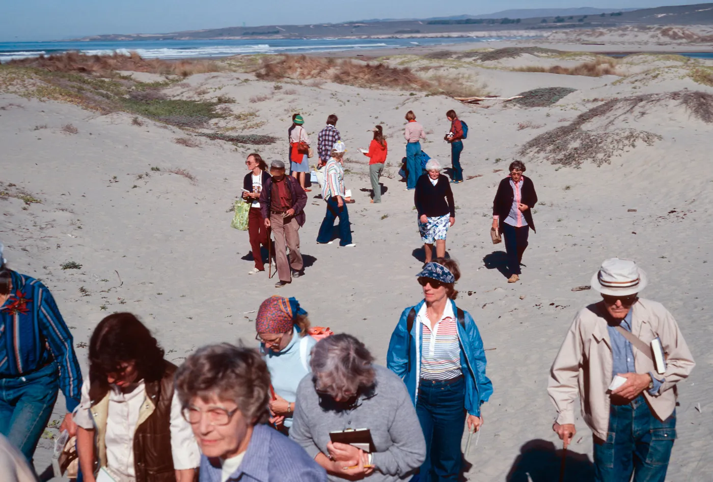 Adult education class, dunes at surf, Santa Ynez River, Santa Barbara County