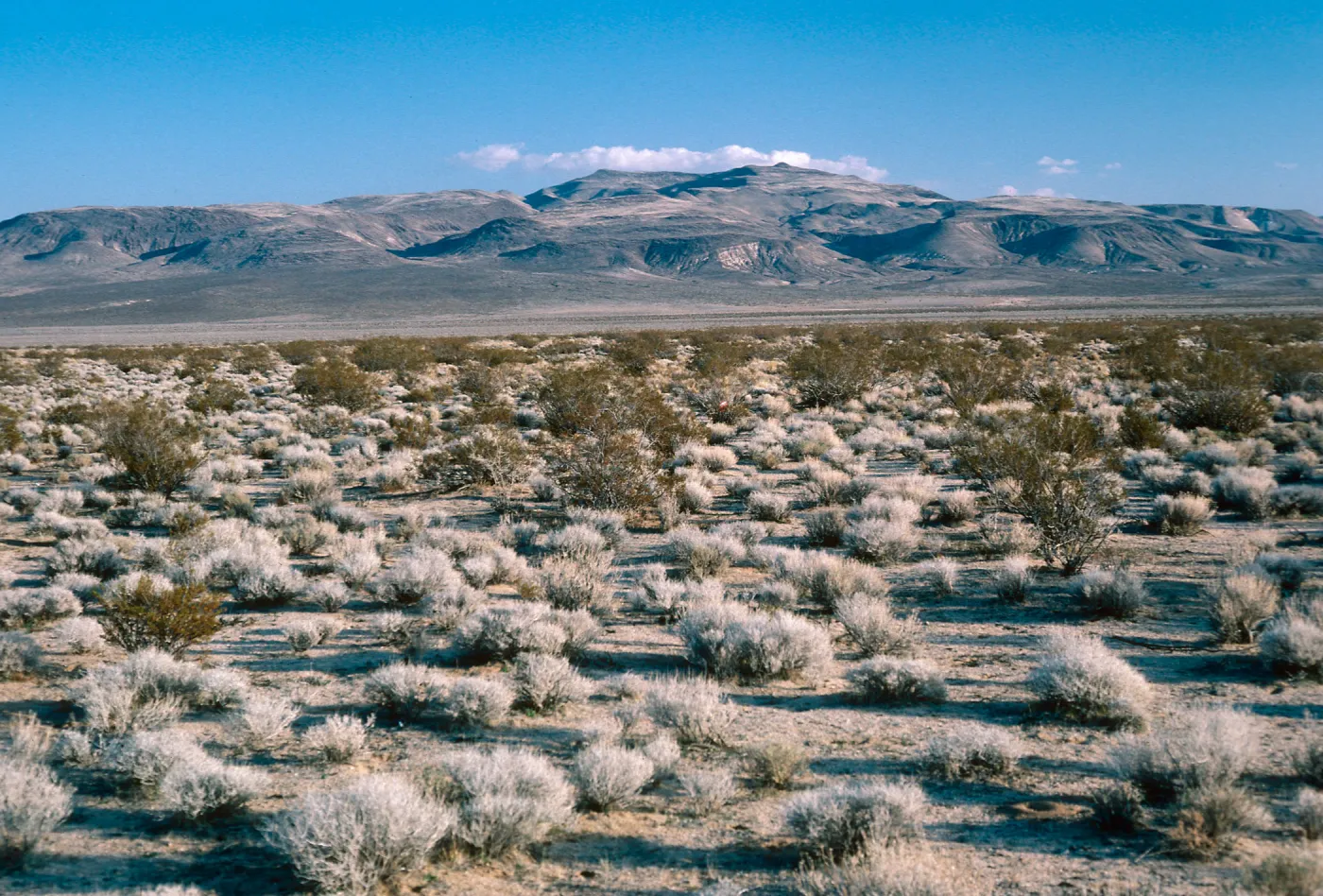 El Paso Mountains, just South of Robbers Roost, Northern Mojave Desert, Kern County