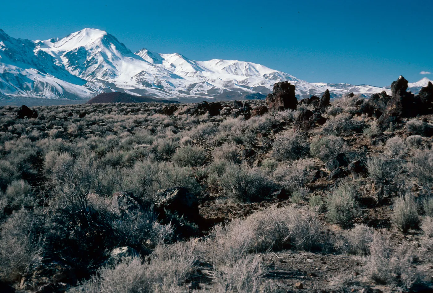 Sierra Nevada, 10 miles North of Independence, Inyo County