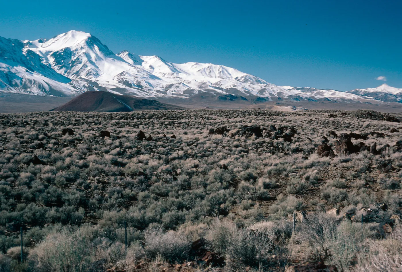 Sierra Nevada, 10 miles North of Independence, Inyo County