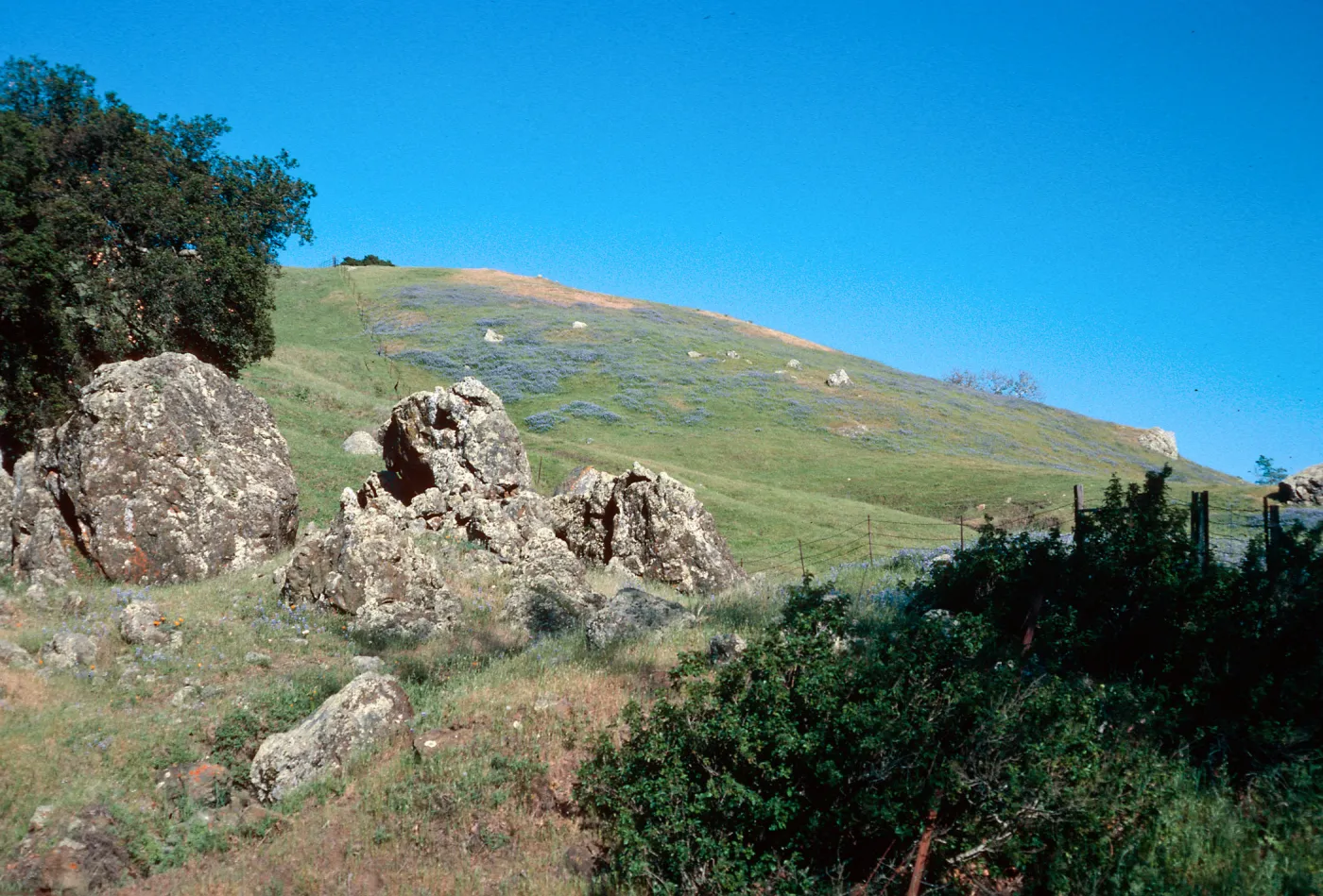 San Luis Obispo County