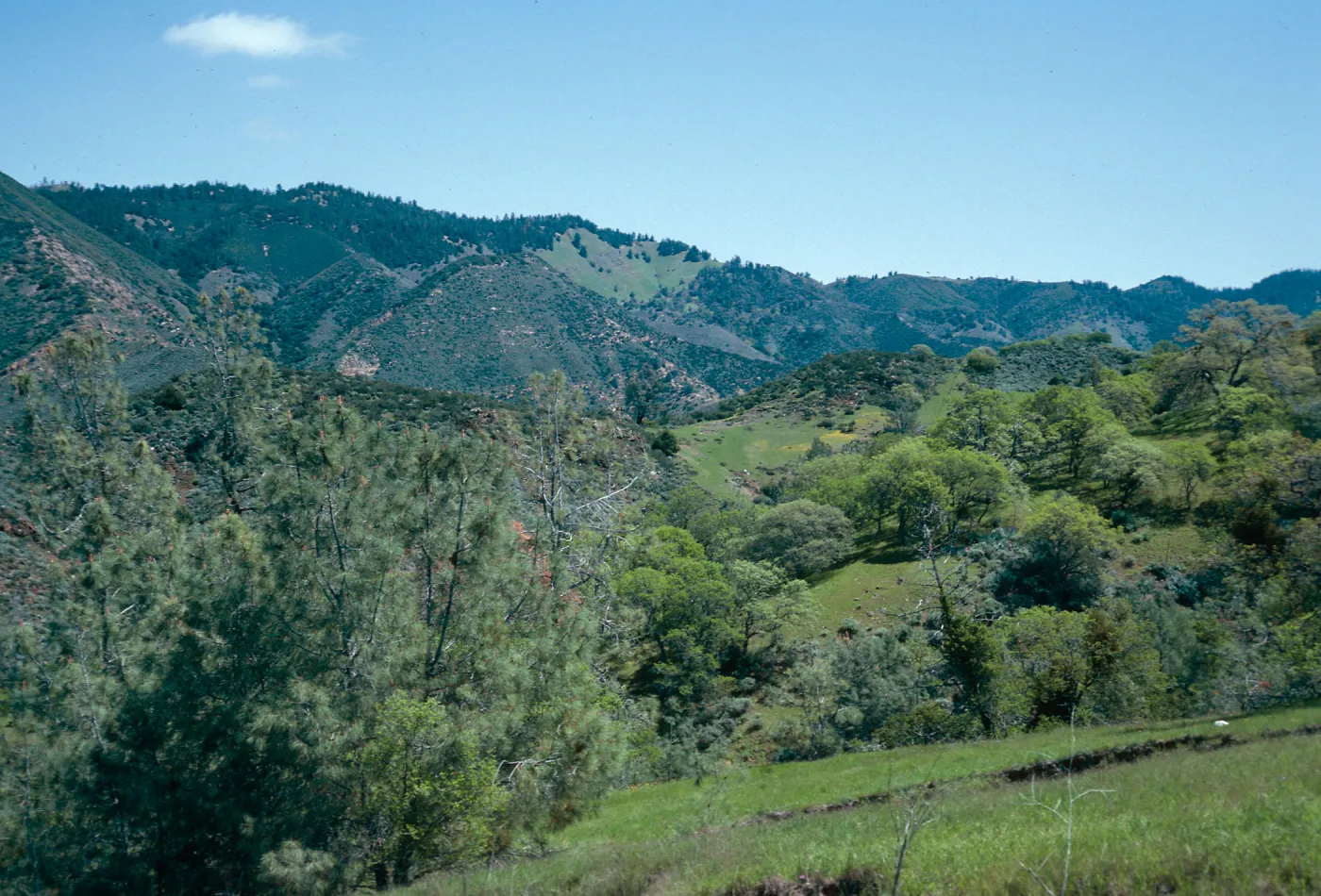 Figueroa Mountain Road, Santa Barbara County