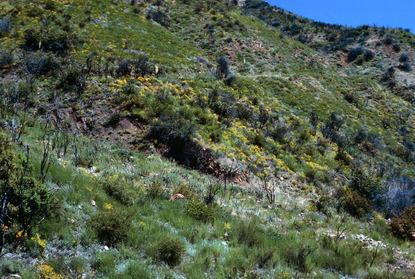 burn site, Highway 33
