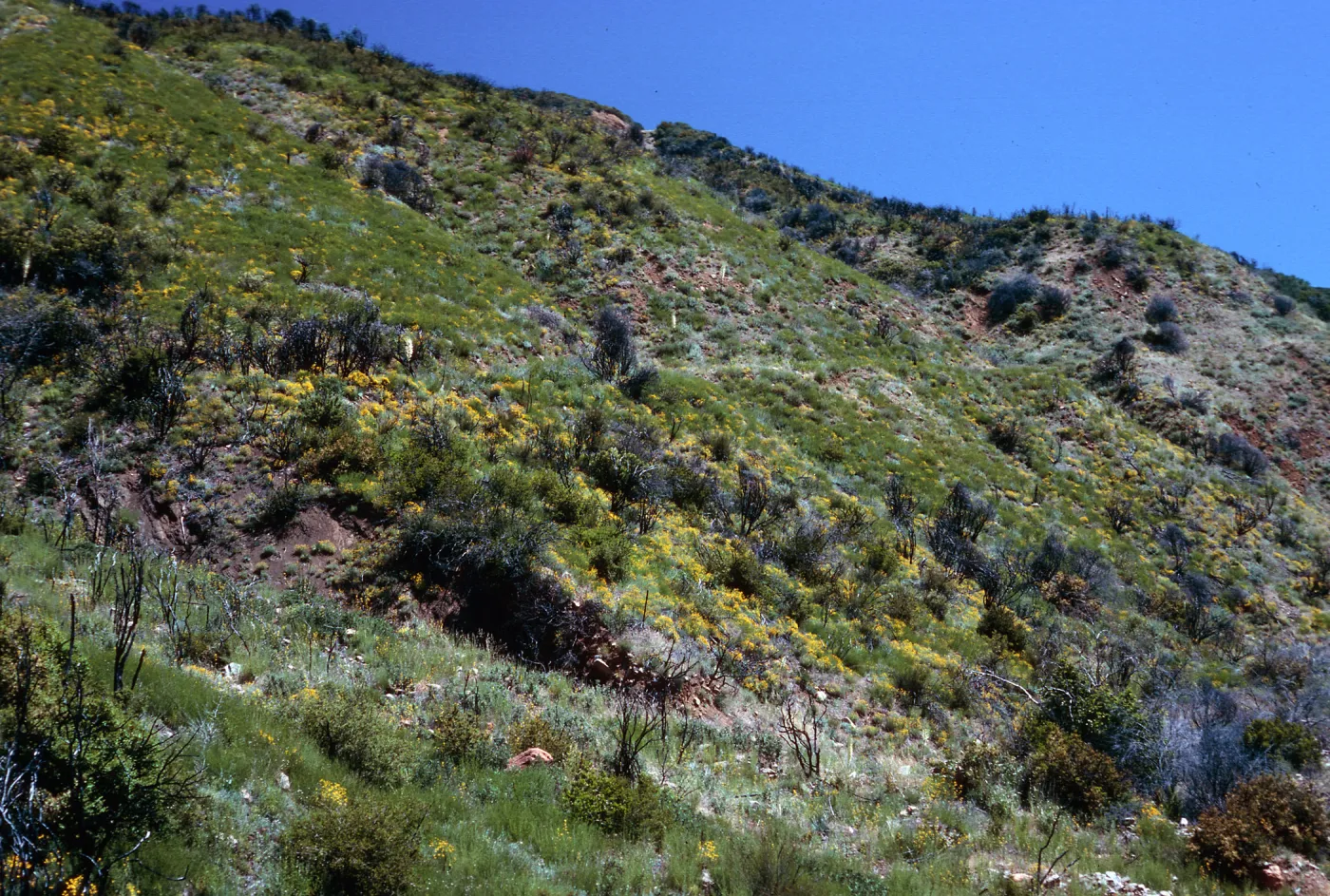 burn site, Highway 33