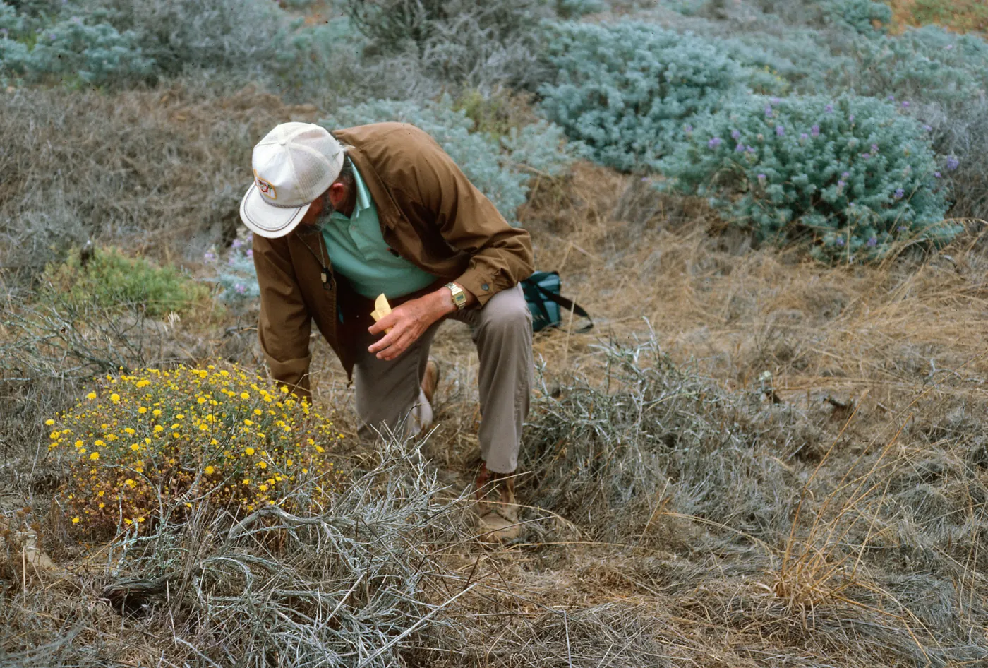 San Nicolas Island