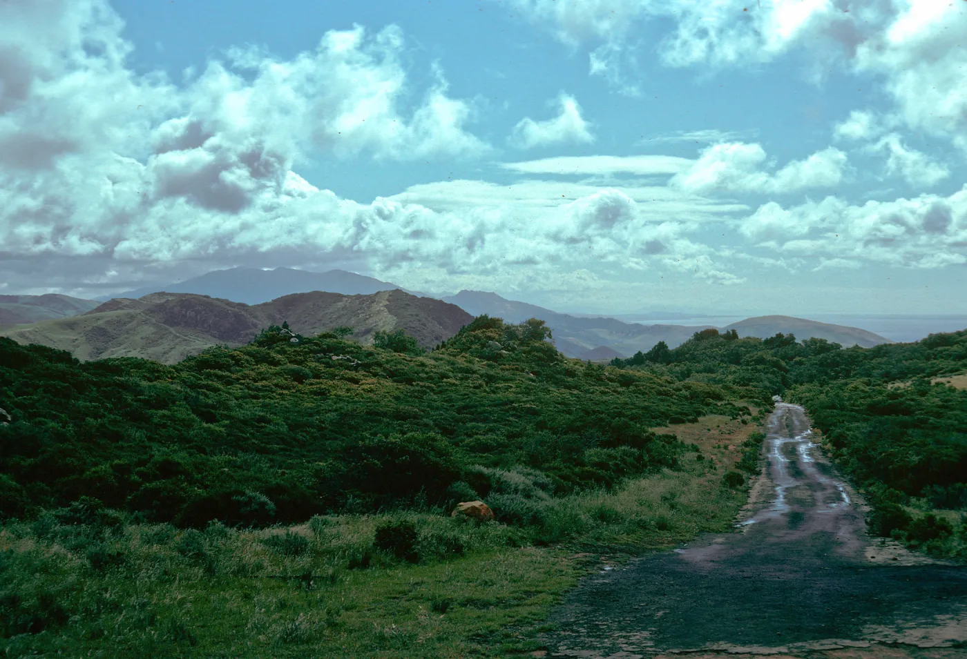 San Augustine Canyon, looking South, Hollister Ranch, Santa Barbara County