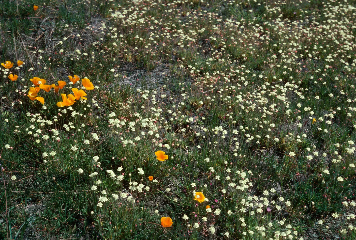 19 Oaks Trail, Santa Barbara County