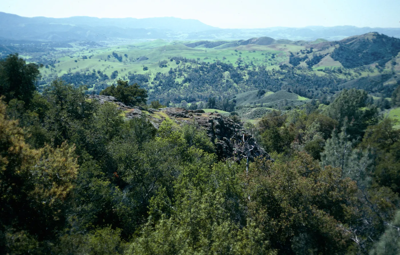 De La Guerra Springs, Santa Barbara County