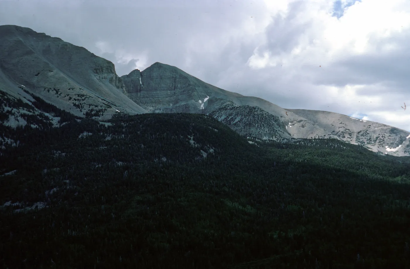 Wheeler Peak, from road to campground, Nevada