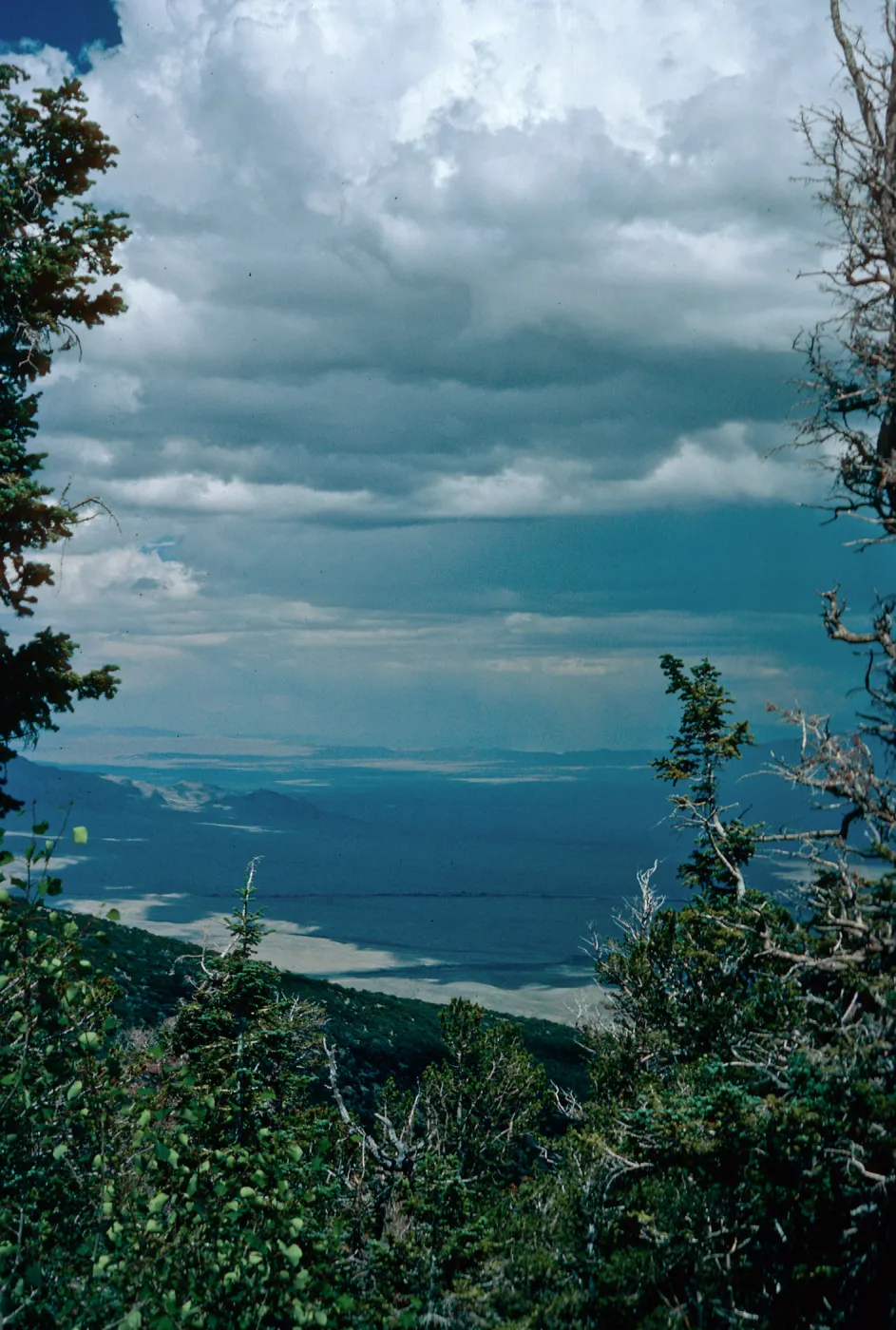 valley, East of Wheeler Peak, Nevada
