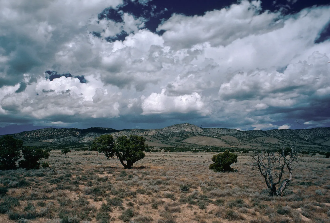 valley between Conners Pass & Wheeler Peak, Conners range from East side. Nevada
