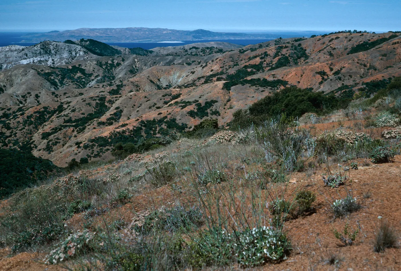 view of Santa Rosa Island from South Ridge Road, Santa Cruz Island
