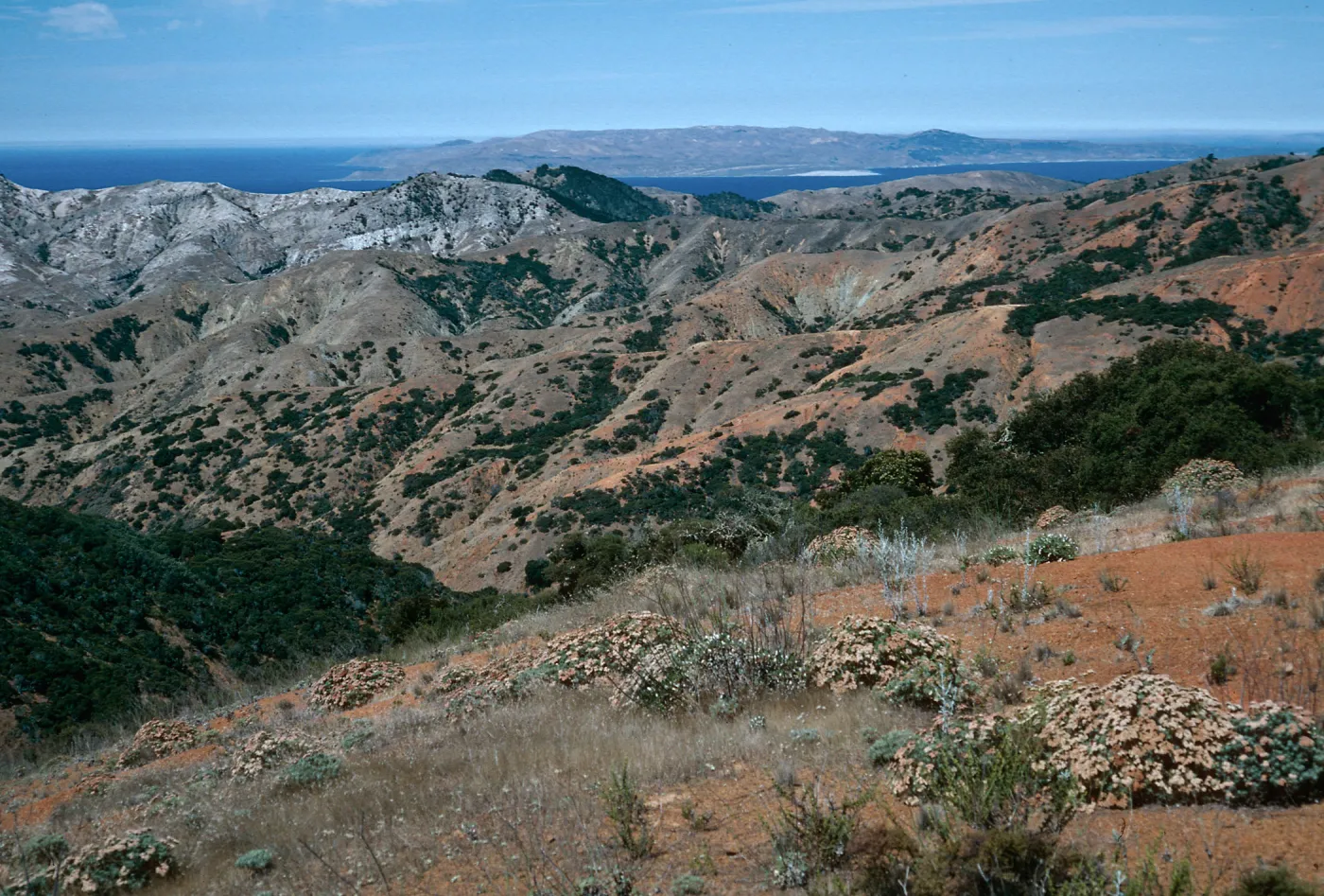 view of Santa Rosa Island from South Ridge Road at Peak 1498, Santa Cruz Island