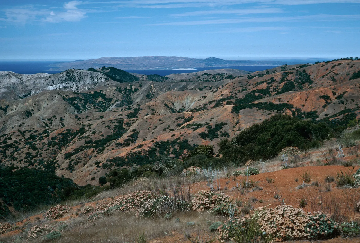 view of Santa Rosa Island from South Ridge Road at Peak 1498, Santa Cruz Island