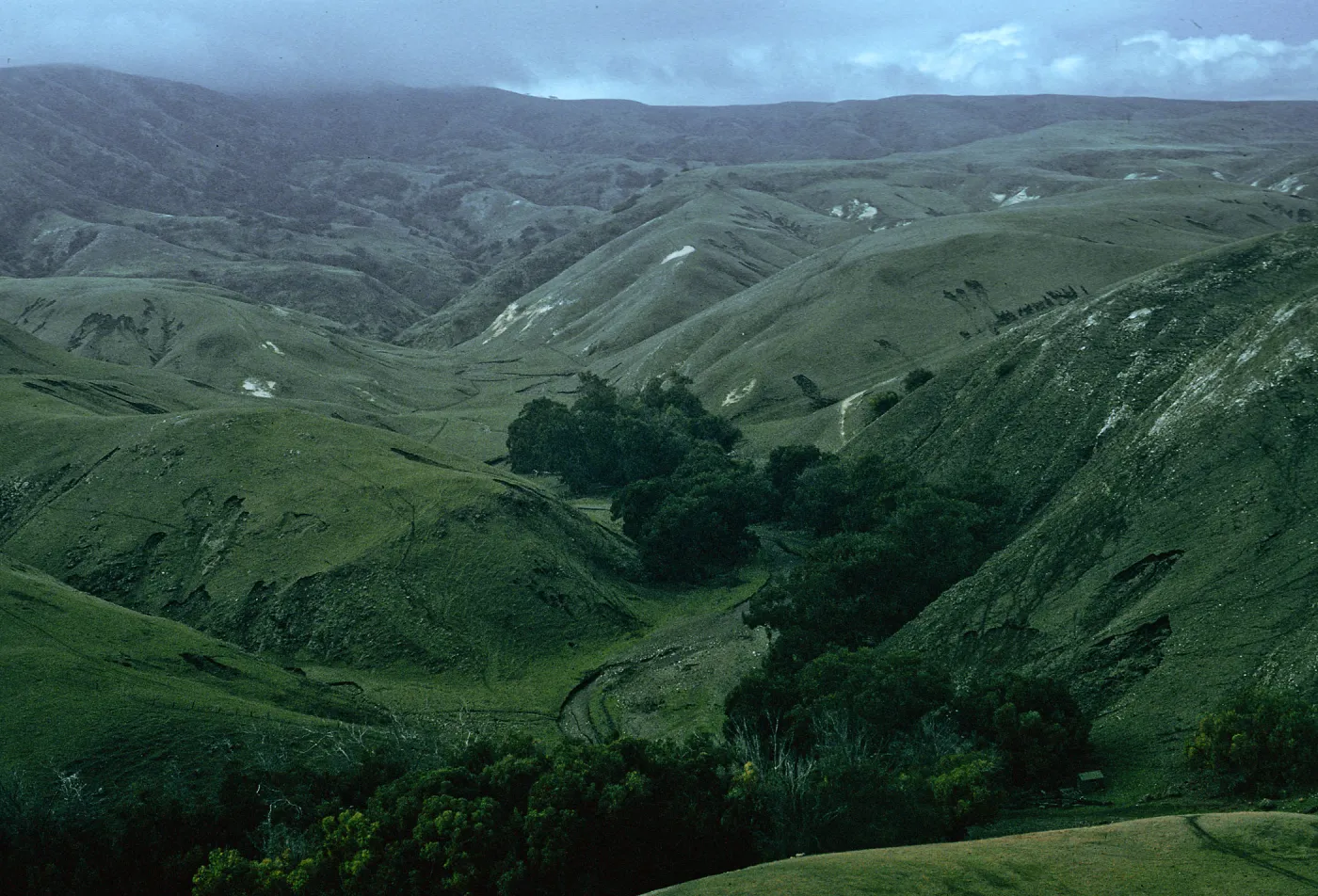 Scorpion Canyon, Santa Cruz Island