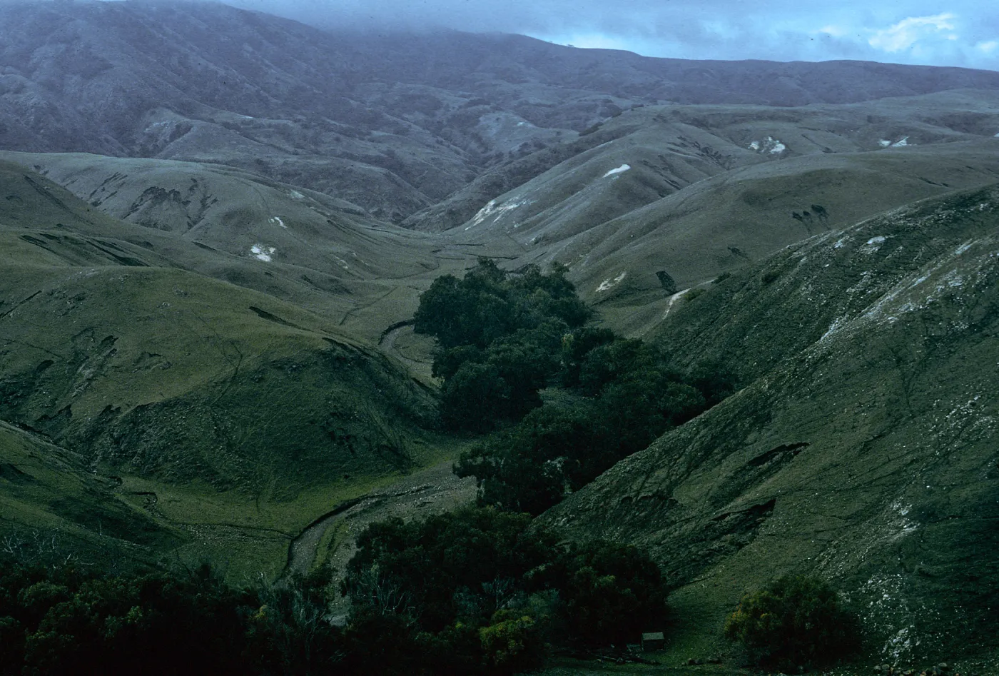 Scorpion Canyon, Santa Cruz Island