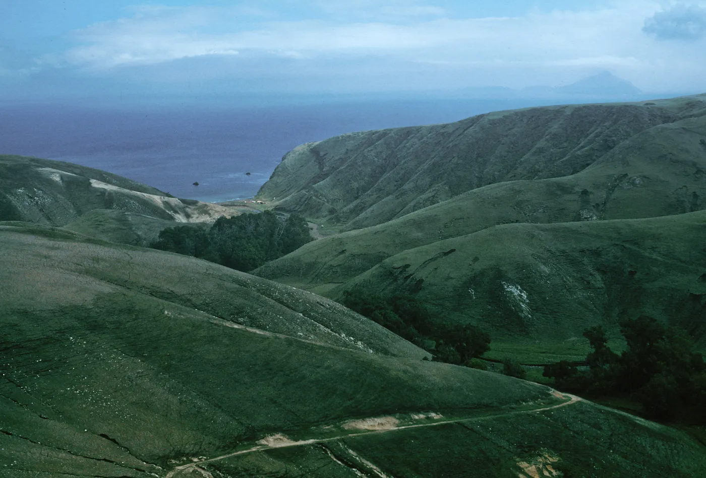 Scorpion Canyon, Santa Cruz Island