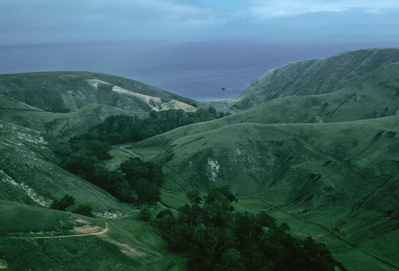 Scorpion Canyon, Santa Cruz Island
