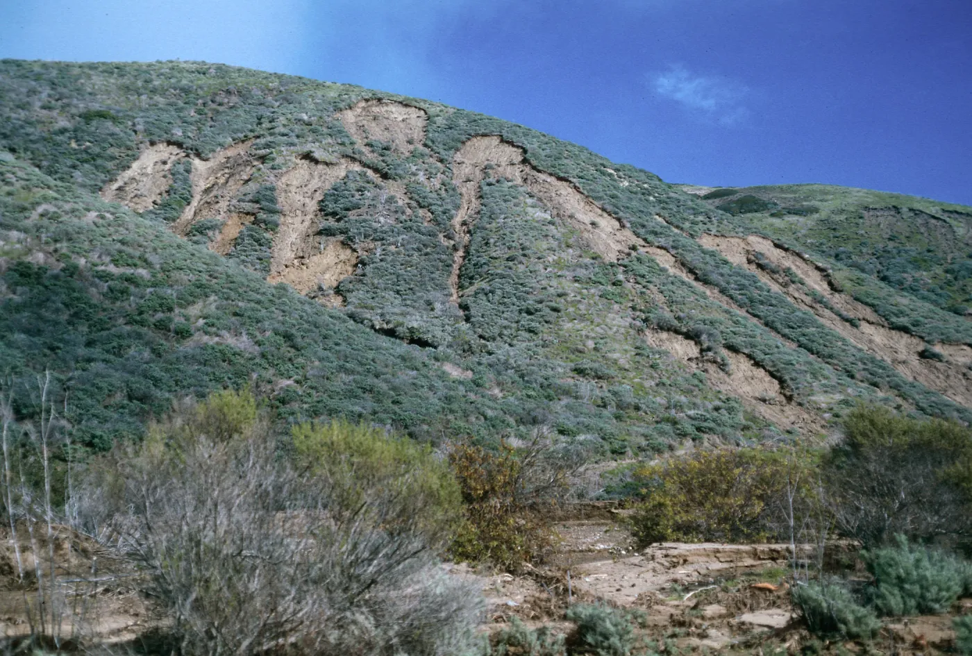 erosion, Coastal Sage Scrub, CaÃ±ada Cedada, Santa Cruz Island