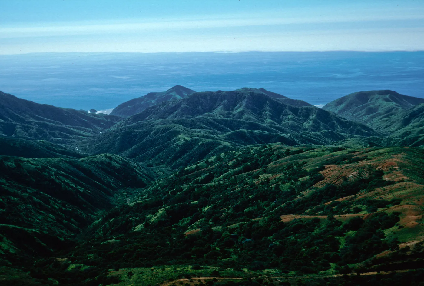 Willows Canyon, Santa Cruz Island