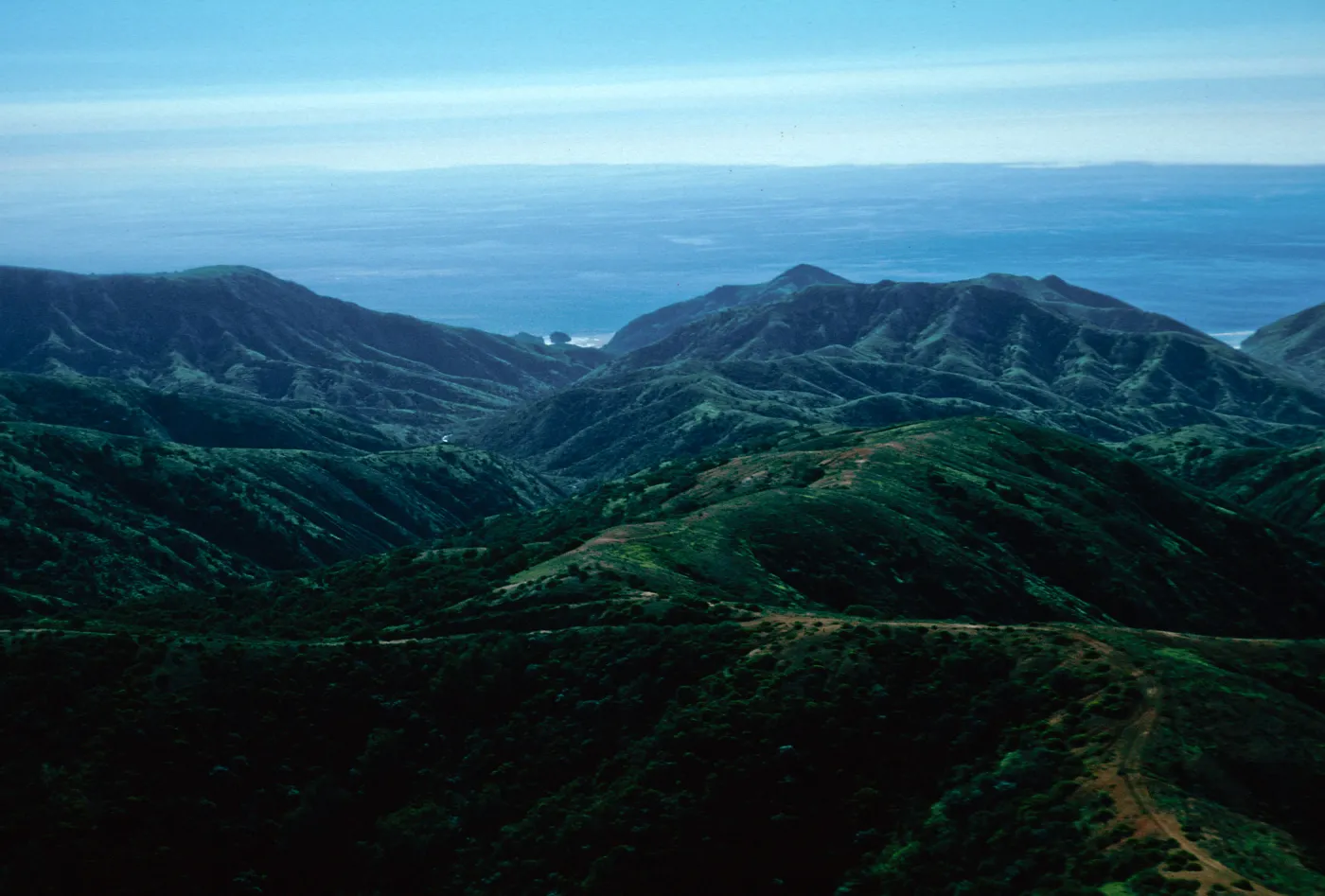 Willows Canyon, Santa Cruz Island