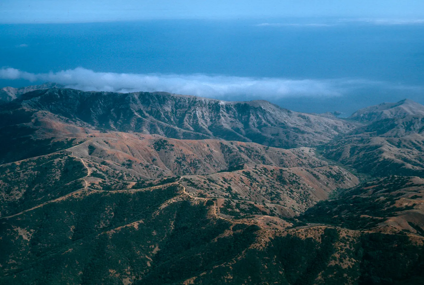 Willows Canyon, South Ridge Road, Santa Cruz Island