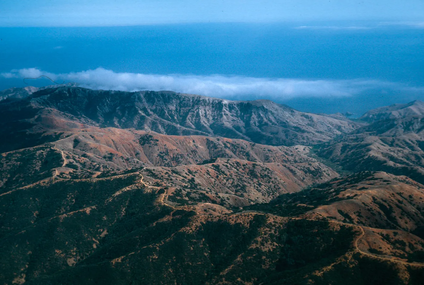 Willows Canyon, South Ridge Road, Santa Cruz Island