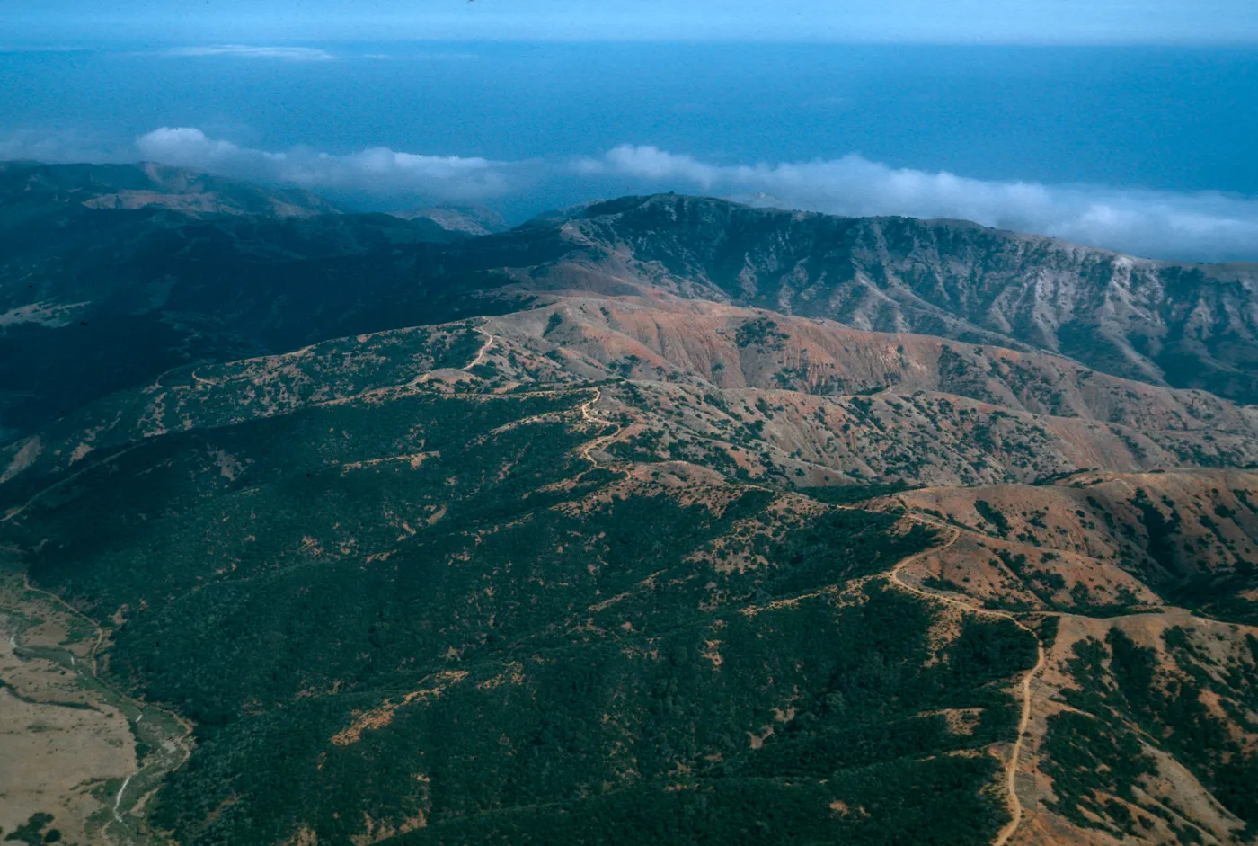 South ridge by Willows Canyon, Santa Cruz Island