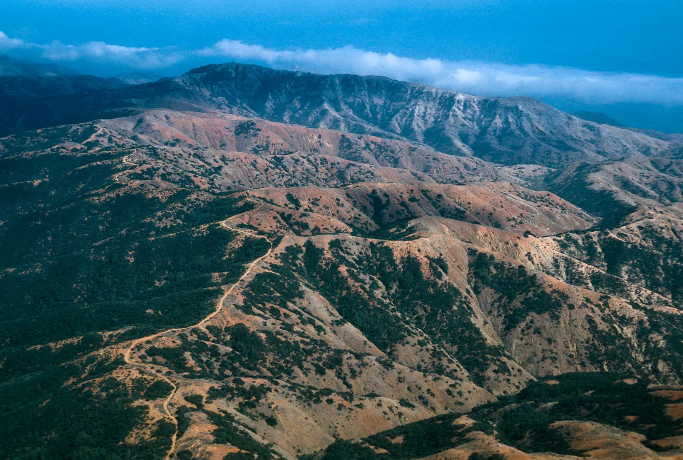 Willows drainage & South Ridge Road, Santa Cruz Island
