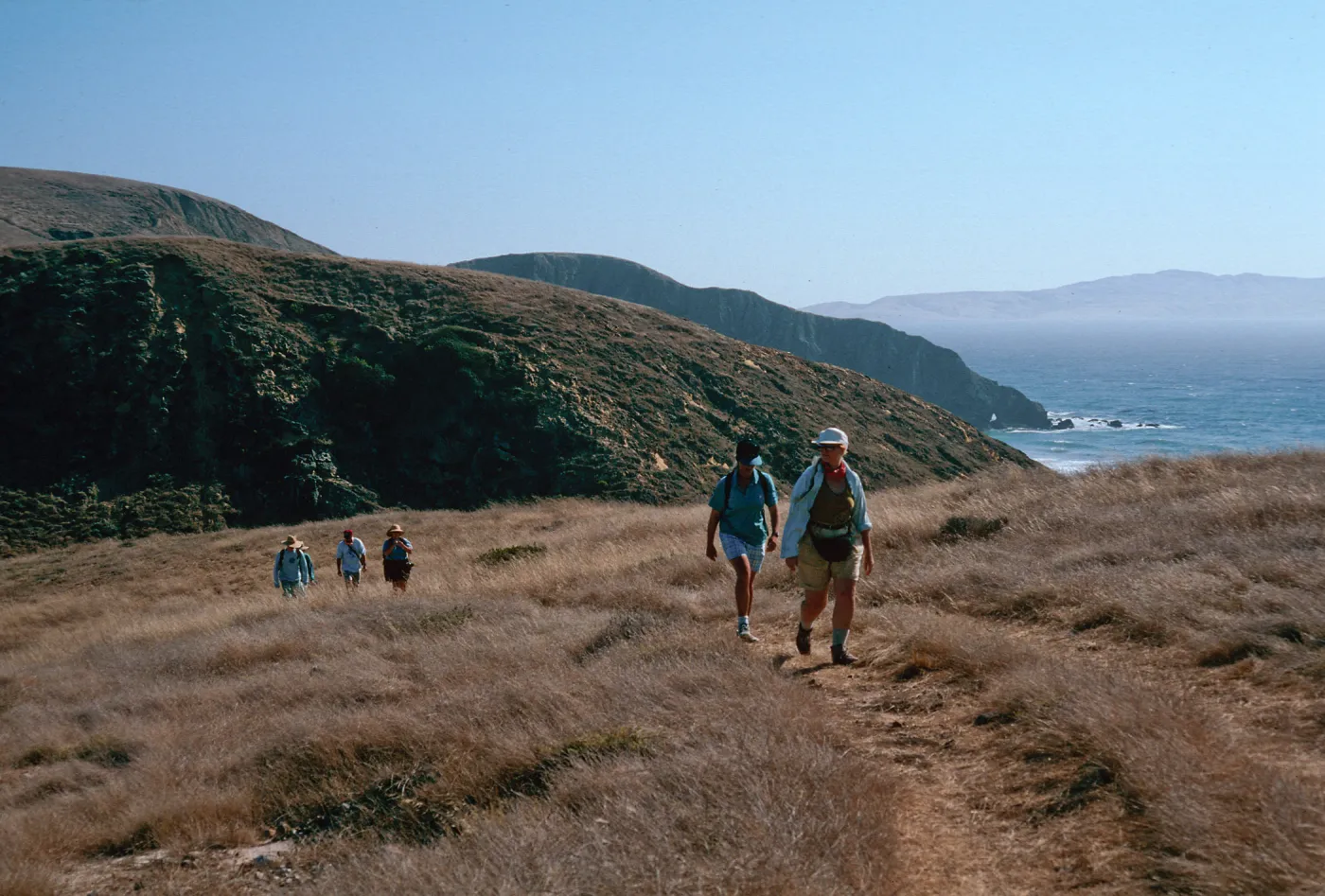 road into lower Sauces Canyon (LACM) trip), Santa Cruz Island