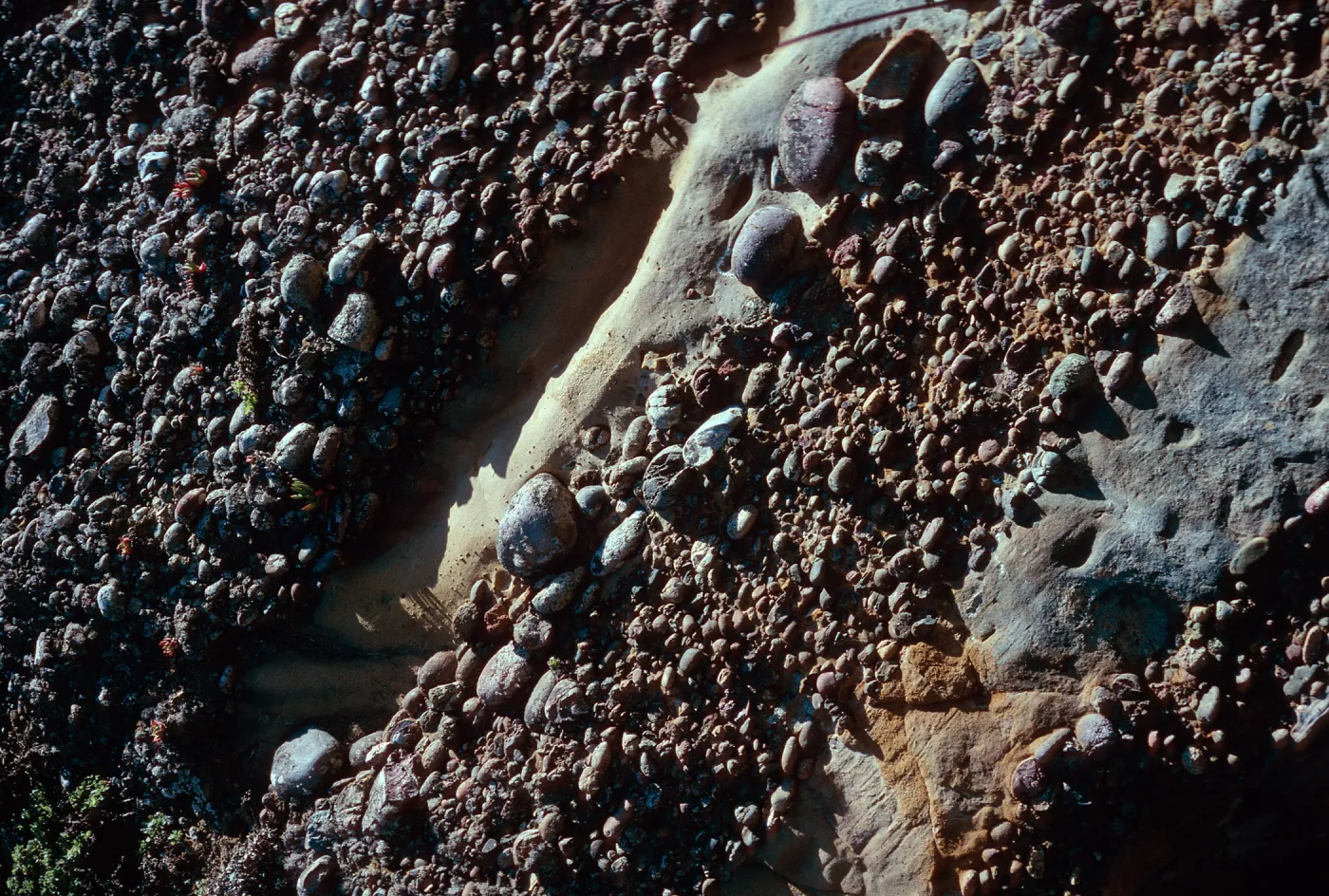 cobbles, lower Sauces Canyon, Santa Cruz Island