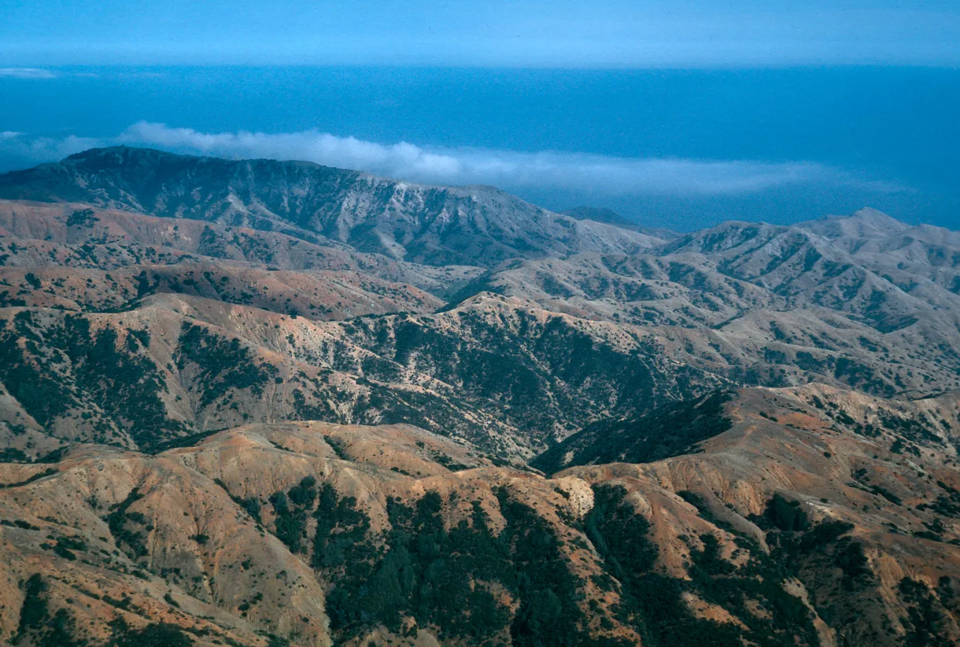 Laguna Canyon, Santa Cruz Island