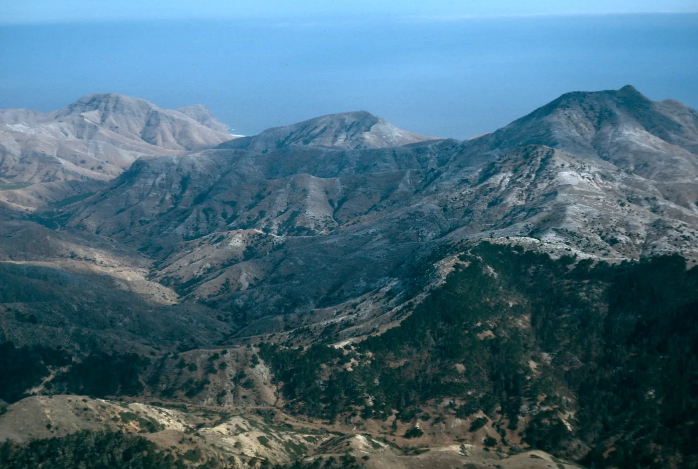 Laguna Canyon, Santa Cruz Island