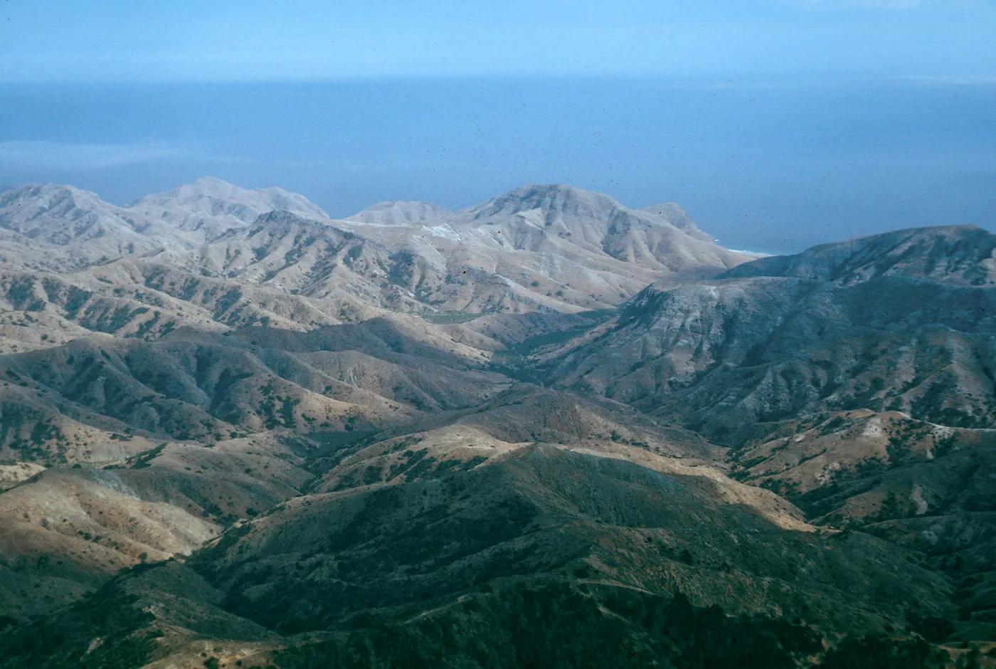 Laguna Canyon, Santa Cruz Island