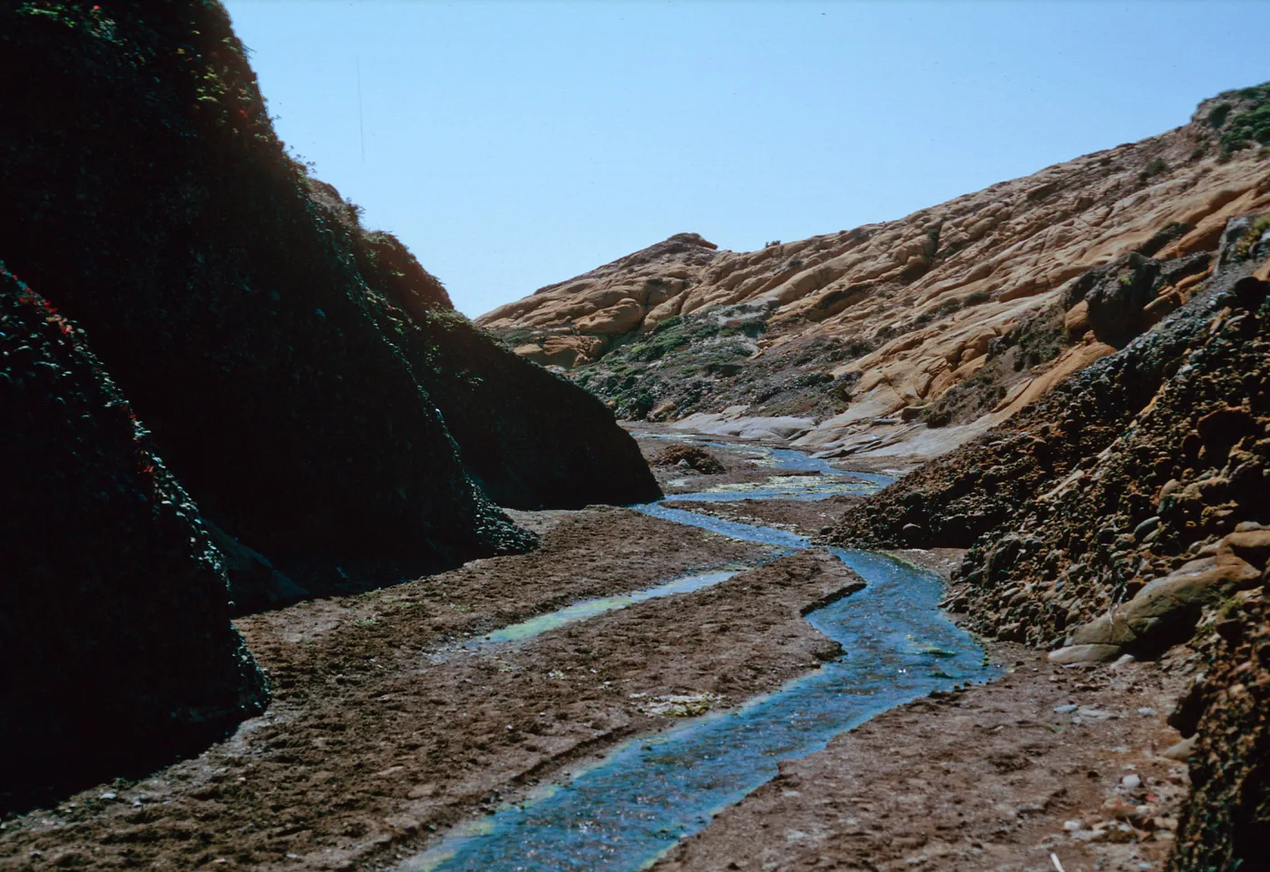 lower Sauces Canyon, Santa Cruz Island