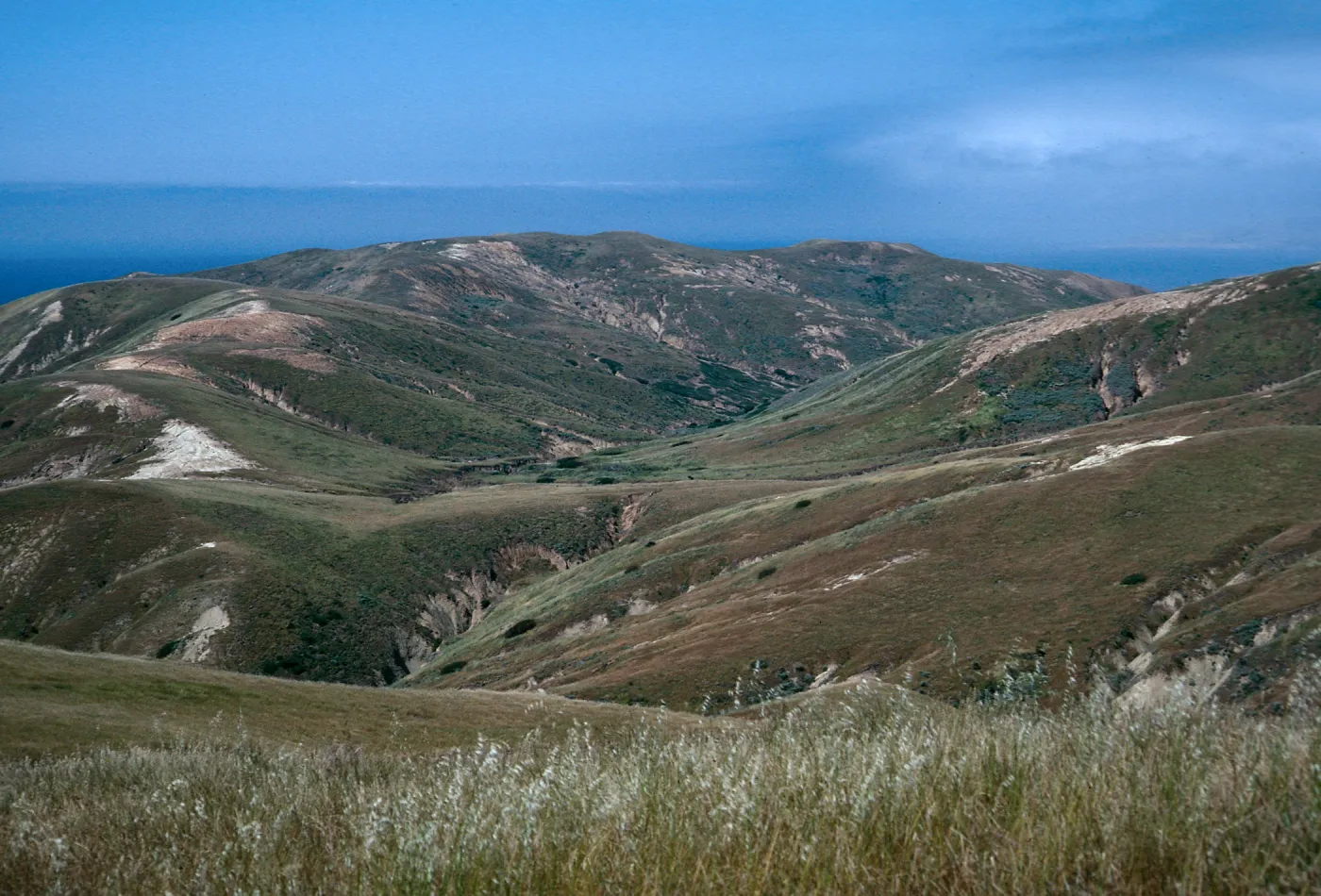 Alegria Canyon, Santa Cruz Island