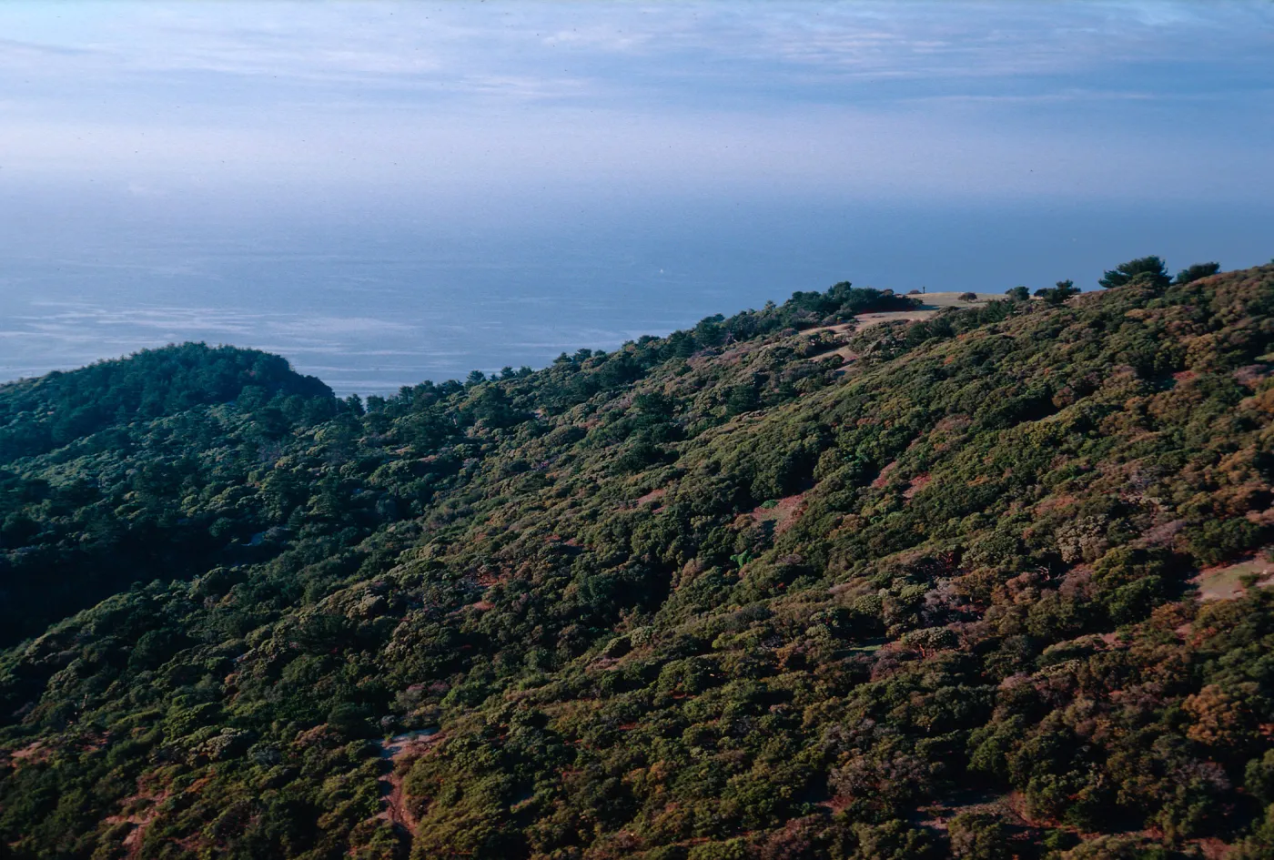 West of PiÃ±os Del Sur, Santa Cruz Island