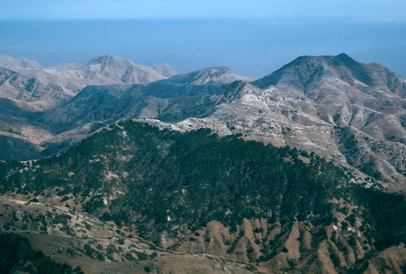 Christy Pines & Siera Blanca ridge, Santa Cruz Island