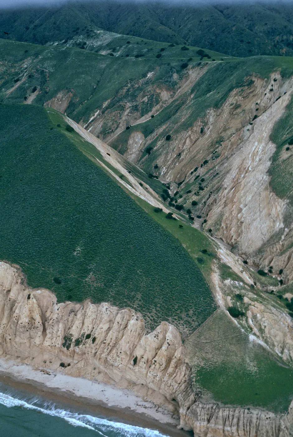 fenceline, MontaÃ±on Canyon, Santa Cruz Island