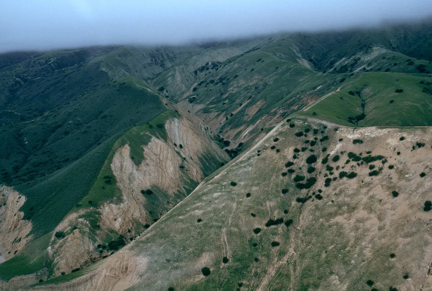 MontaÃ±on Canyon, Santa Cruz Island