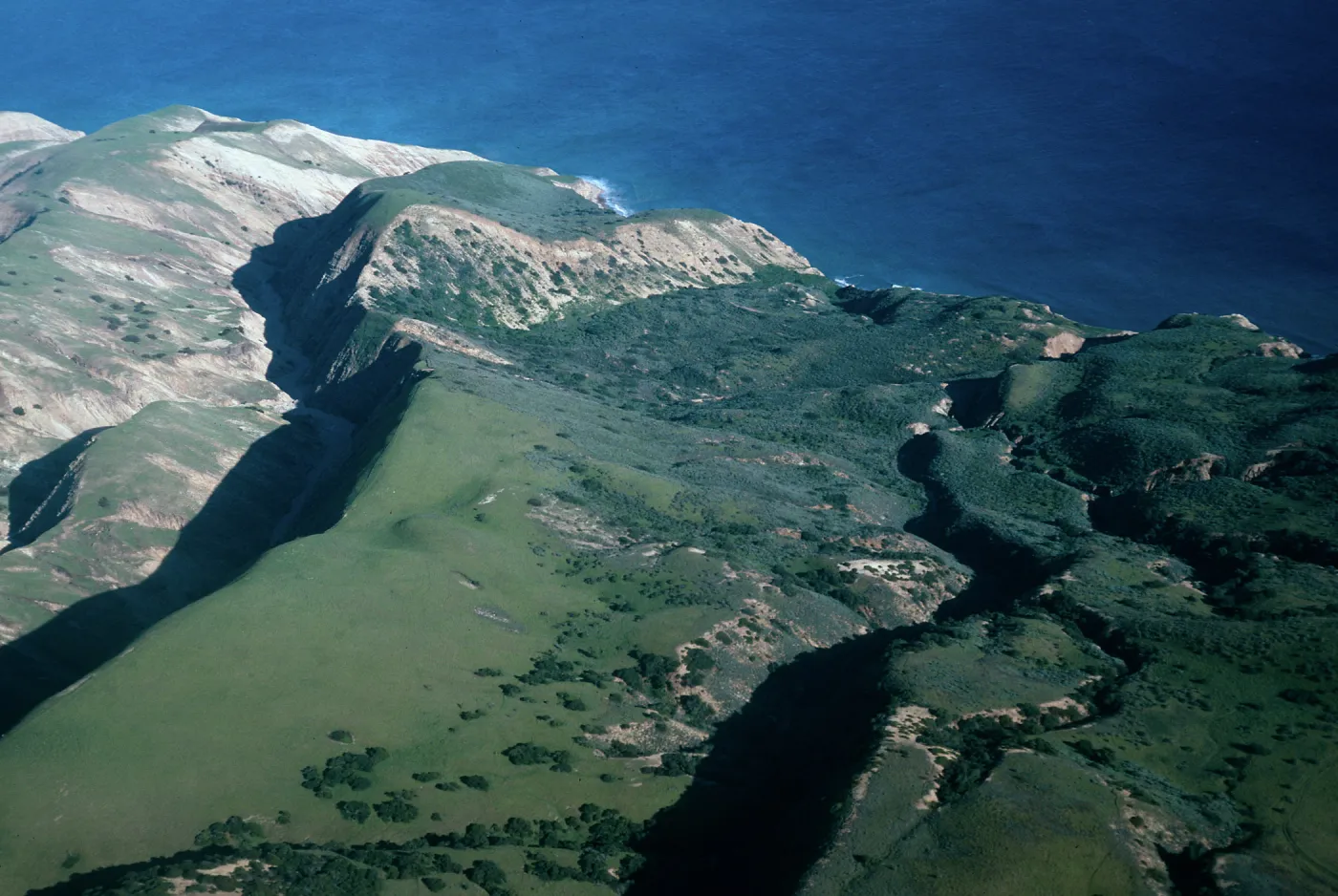 valley, West of MontaÃ±on Canyon, (habitat of Hemizonia clementina), Santa Cruz Island