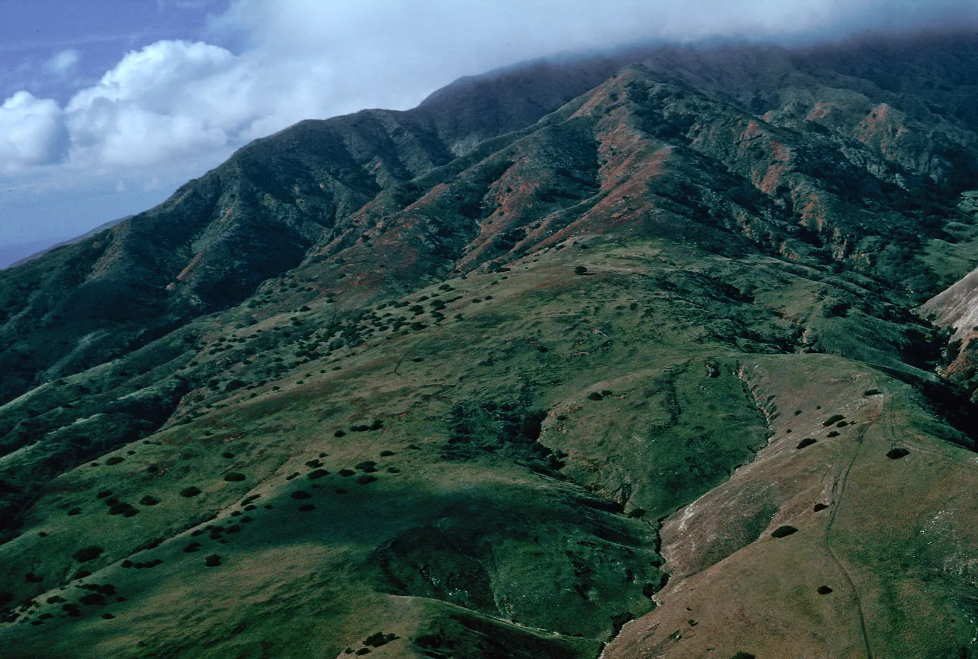 Southeast side of El MontaÃ±on, North of CaÃ±ada Del Aguaje, Santa Cruz Island