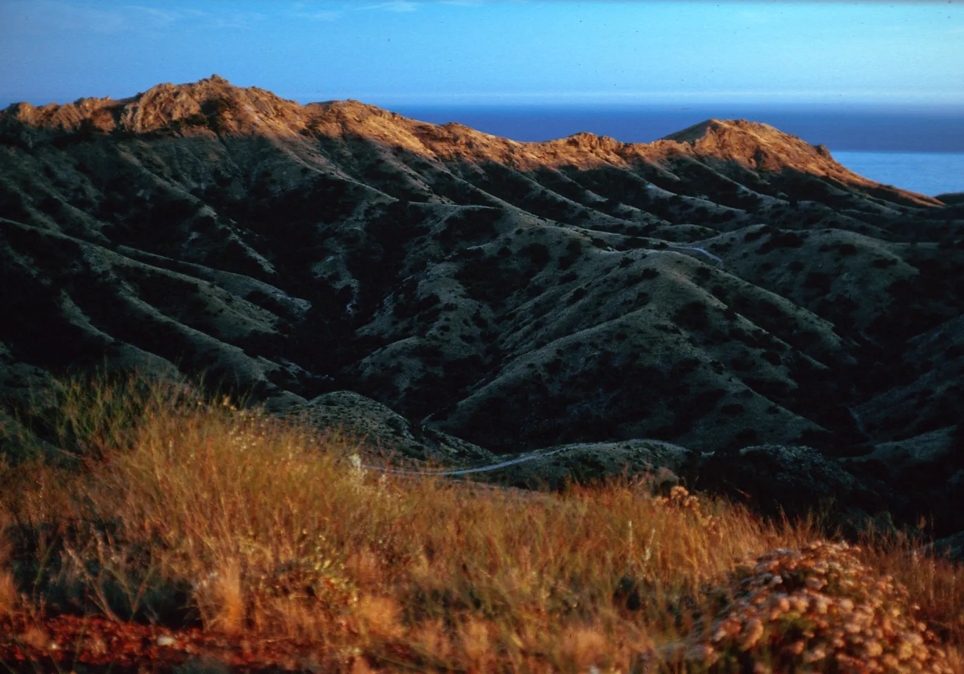 Las Torres from Coches Prietos Road, Santa Cruz Island